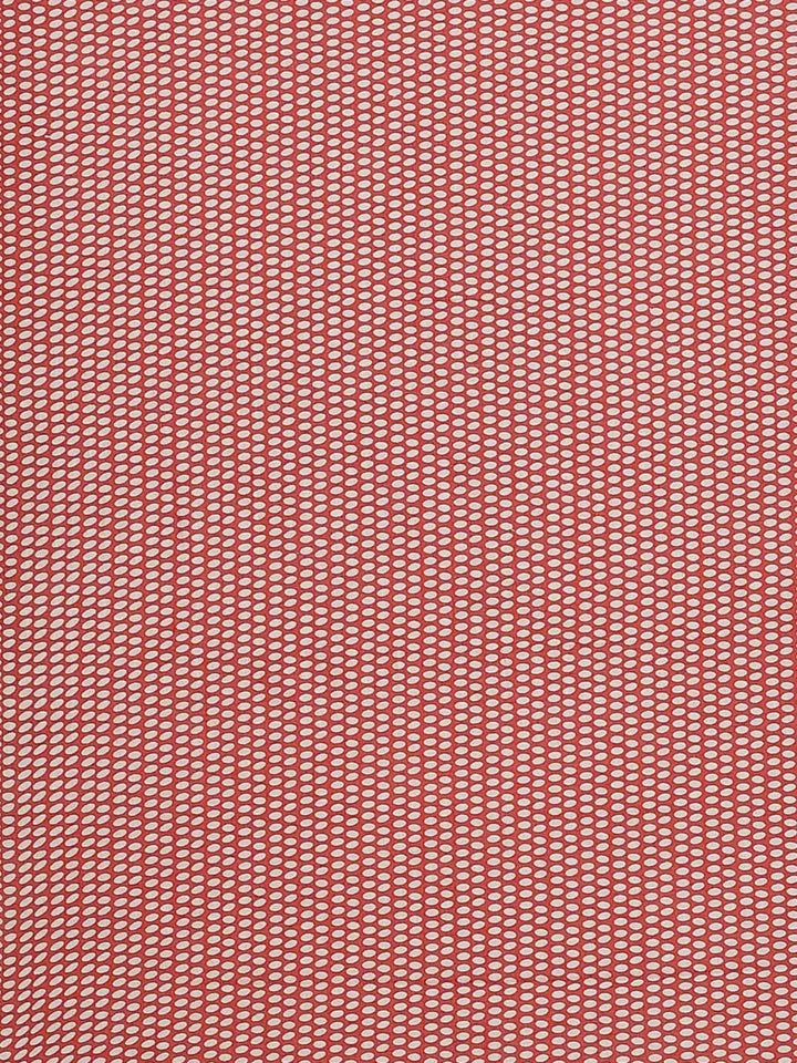 Blue Printed Cotton Saree - Libas