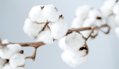 The Versatile Cotton Fabric