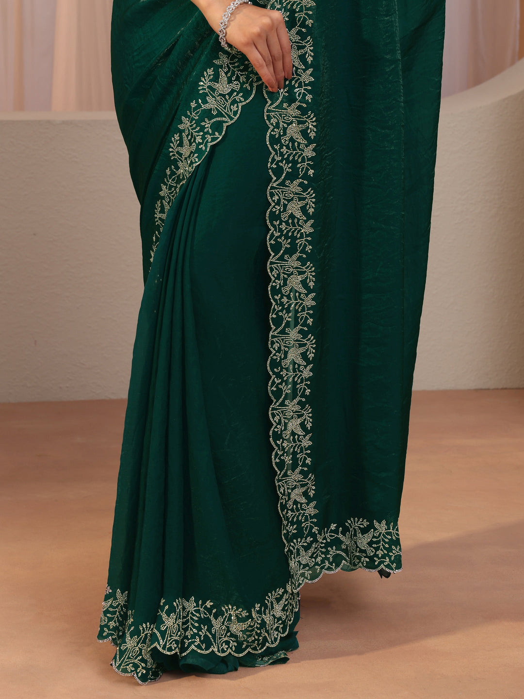 Green Tissue Saree With Embroidered Border 