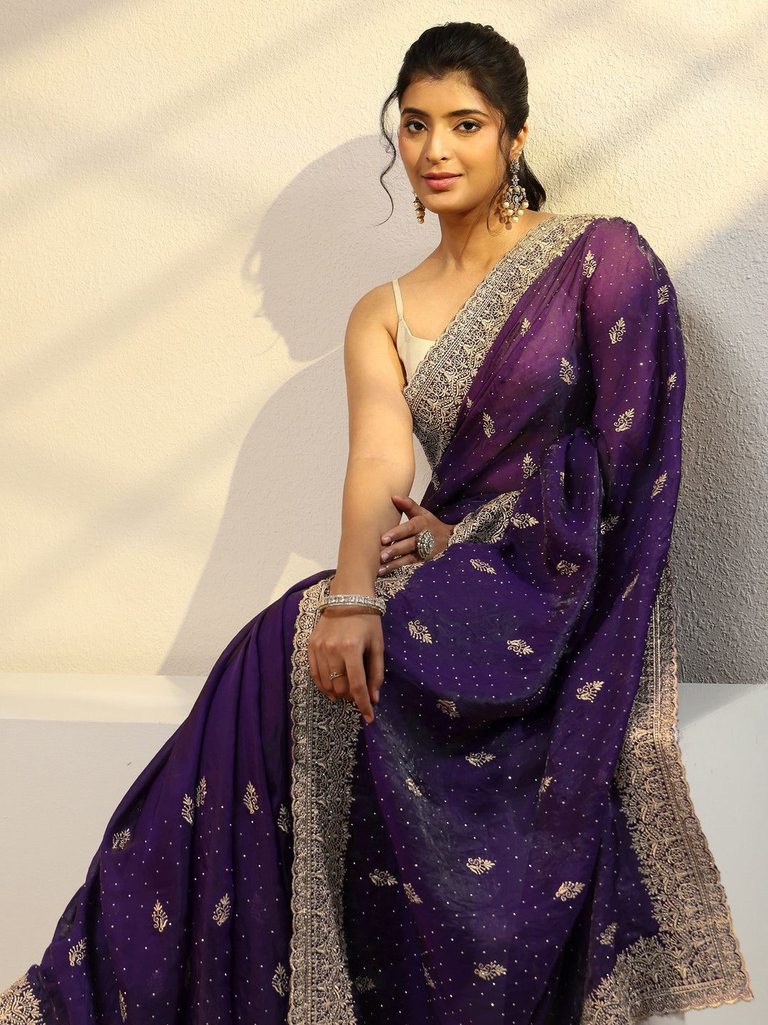  Aubergine Tissue Saree With Embellished Border 