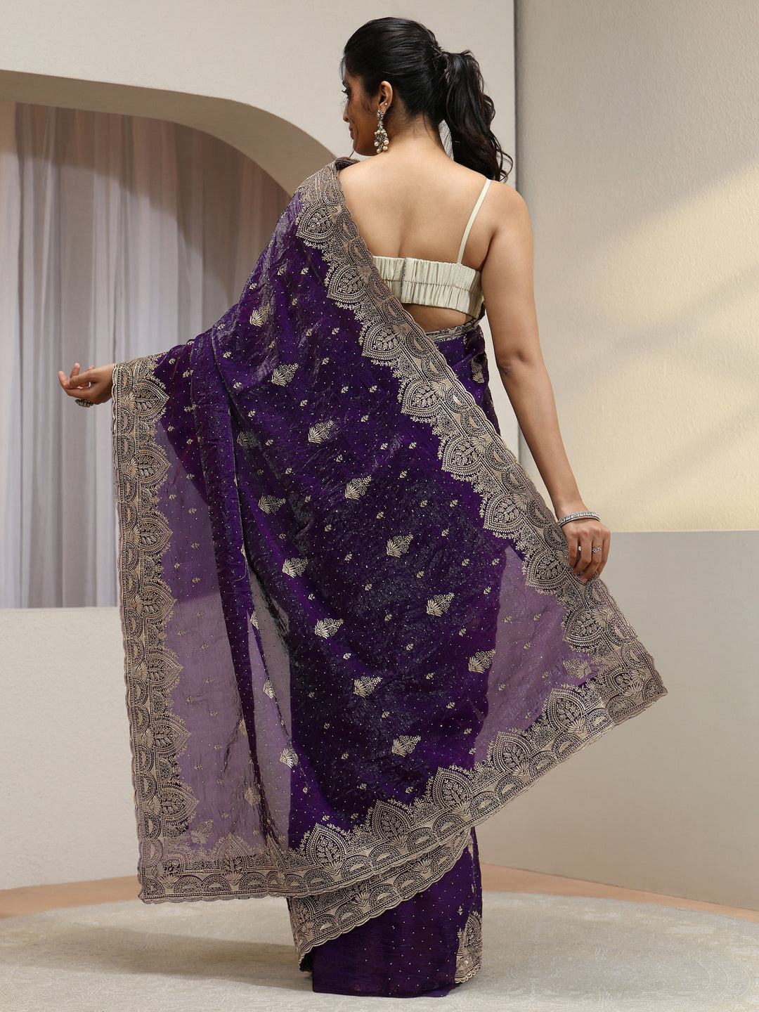  Aubergine Tissue Saree With Embellished Border 